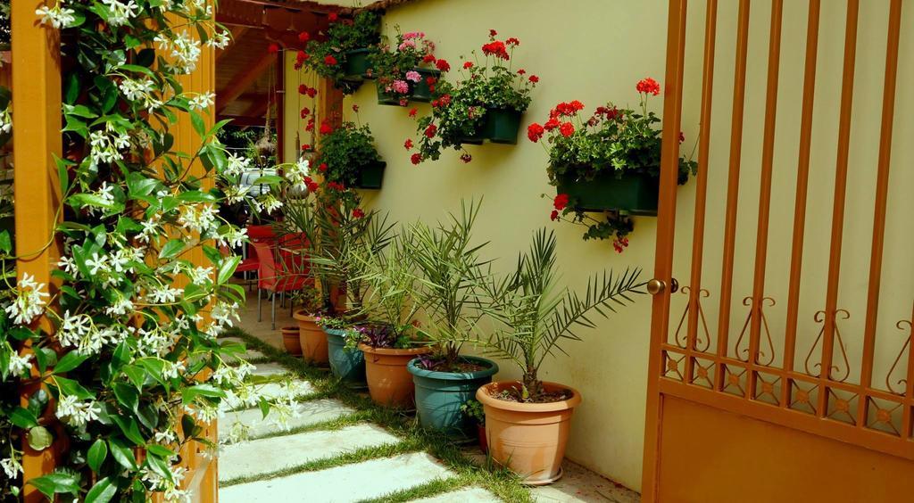 Kruja Hotel Tirana Zewnętrze zdjęcie